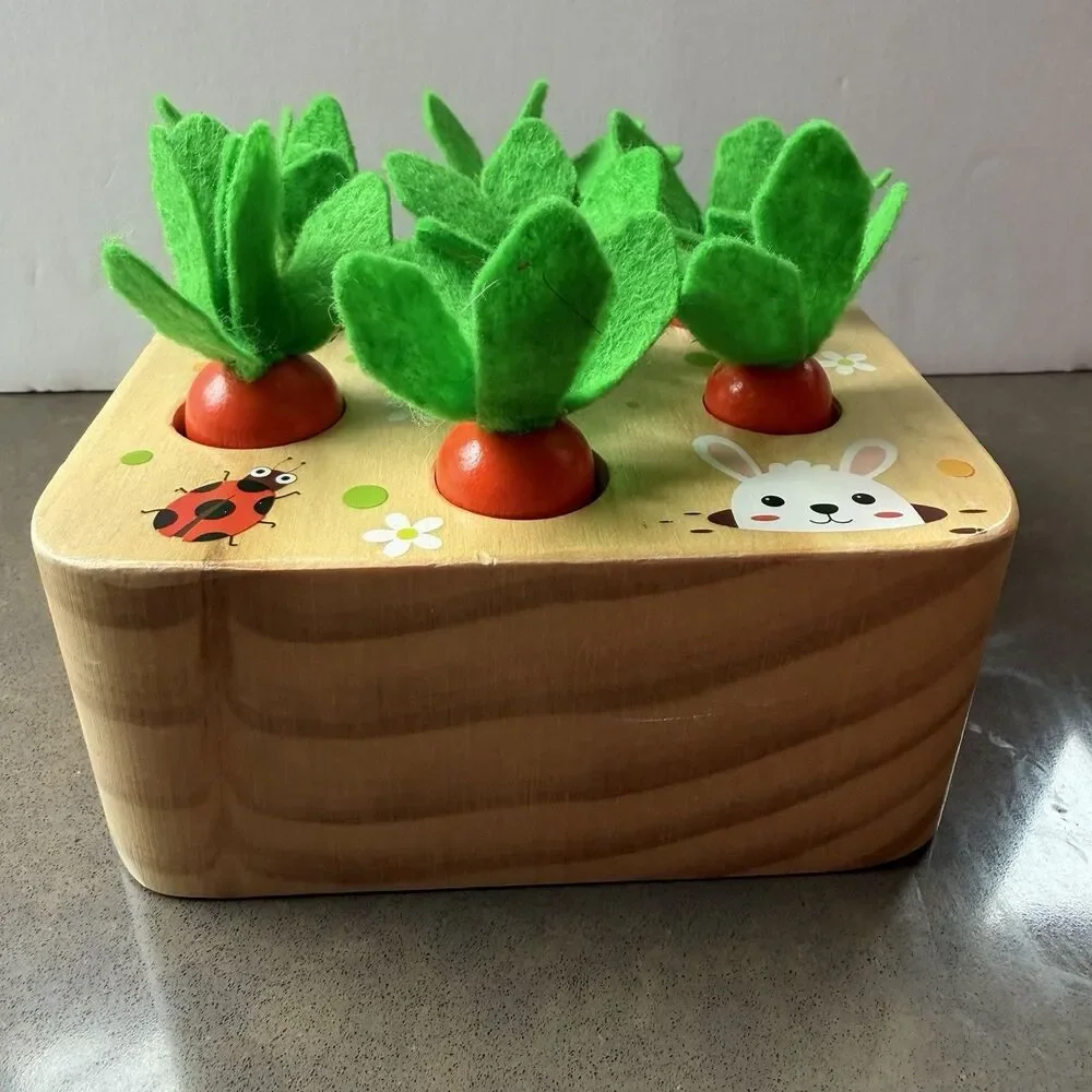 Goryeo Baby Montessori Wooden 3D Carrot Size Match Puzzle Easter Fun Play Learn